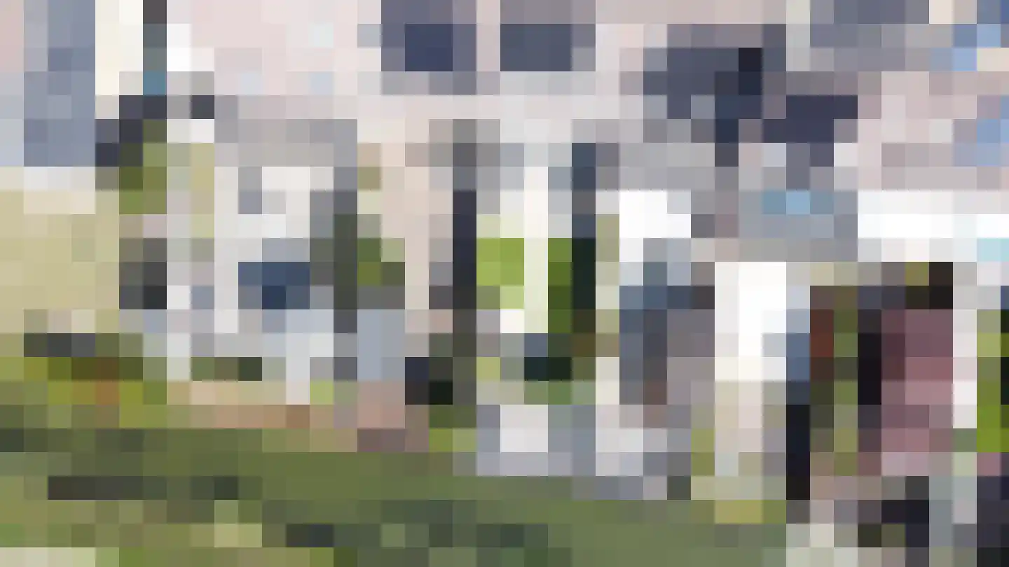 Koolmees 47 Sommelsdijk thumbnail 39