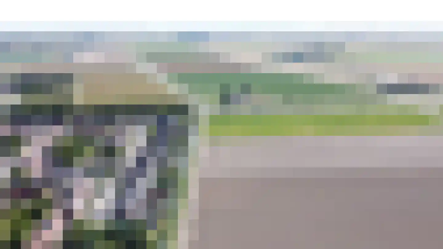 Koolmees 47 Sommelsdijk thumbnail 40