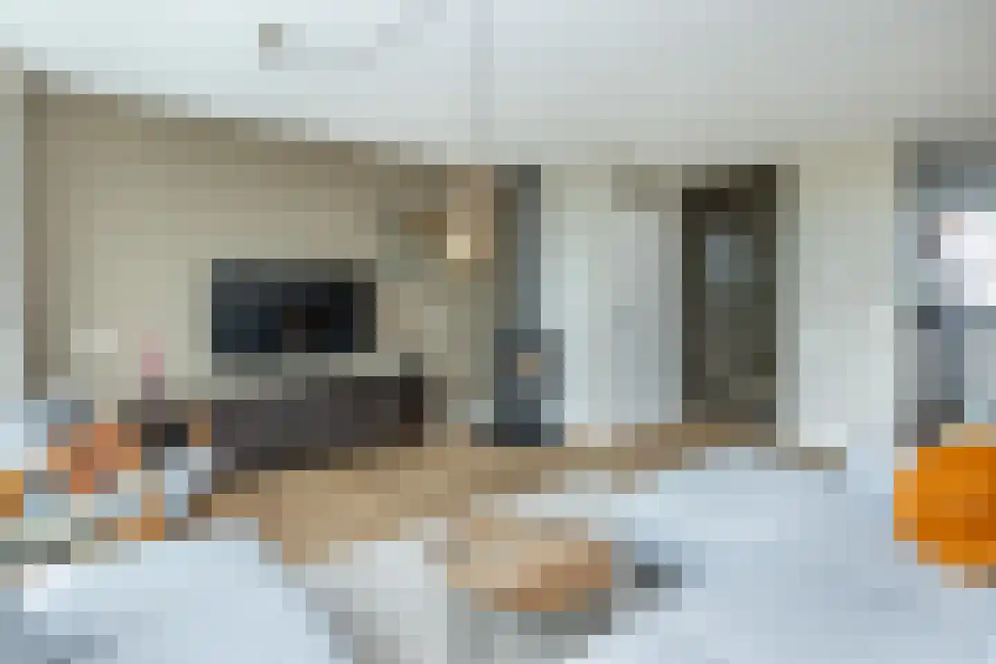 Koolmees 47 Sommelsdijk thumbnail 5