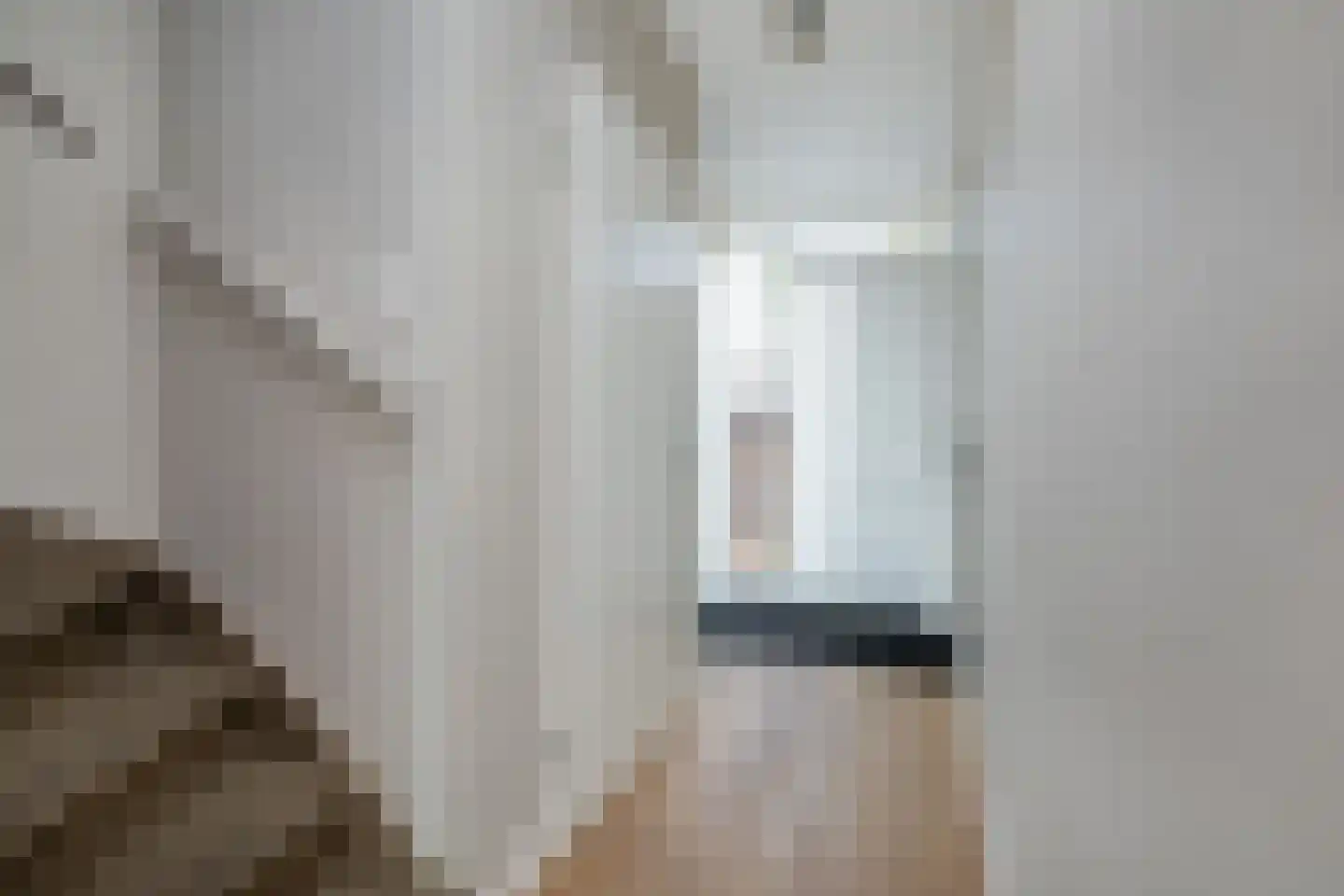 Koolmees 47 Sommelsdijk thumbnail 6