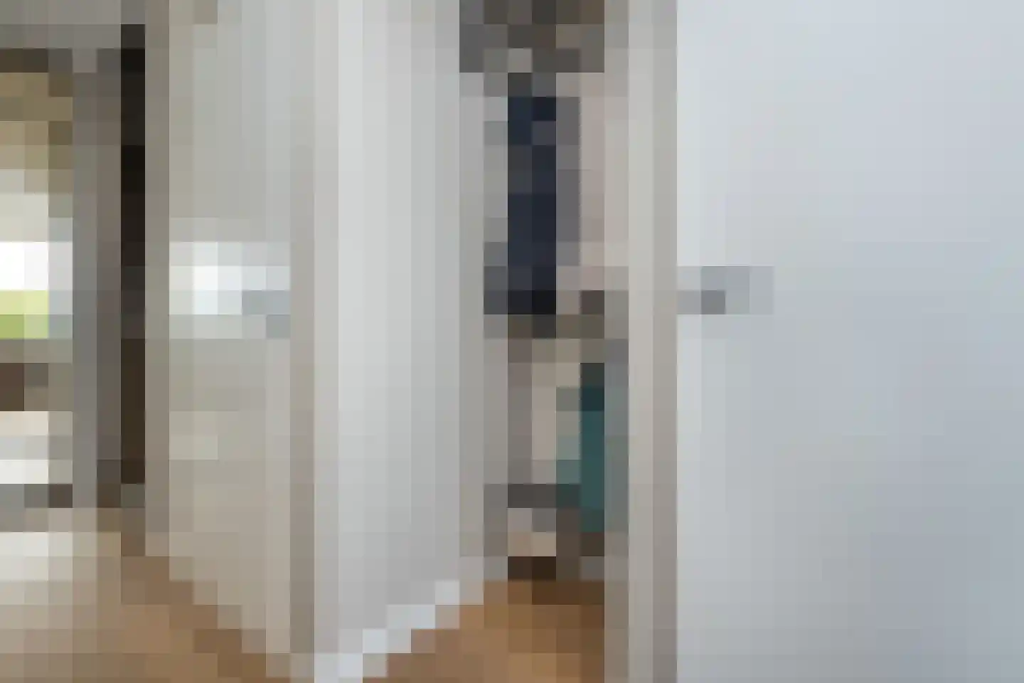 Koolmees 47 Sommelsdijk thumbnail 7