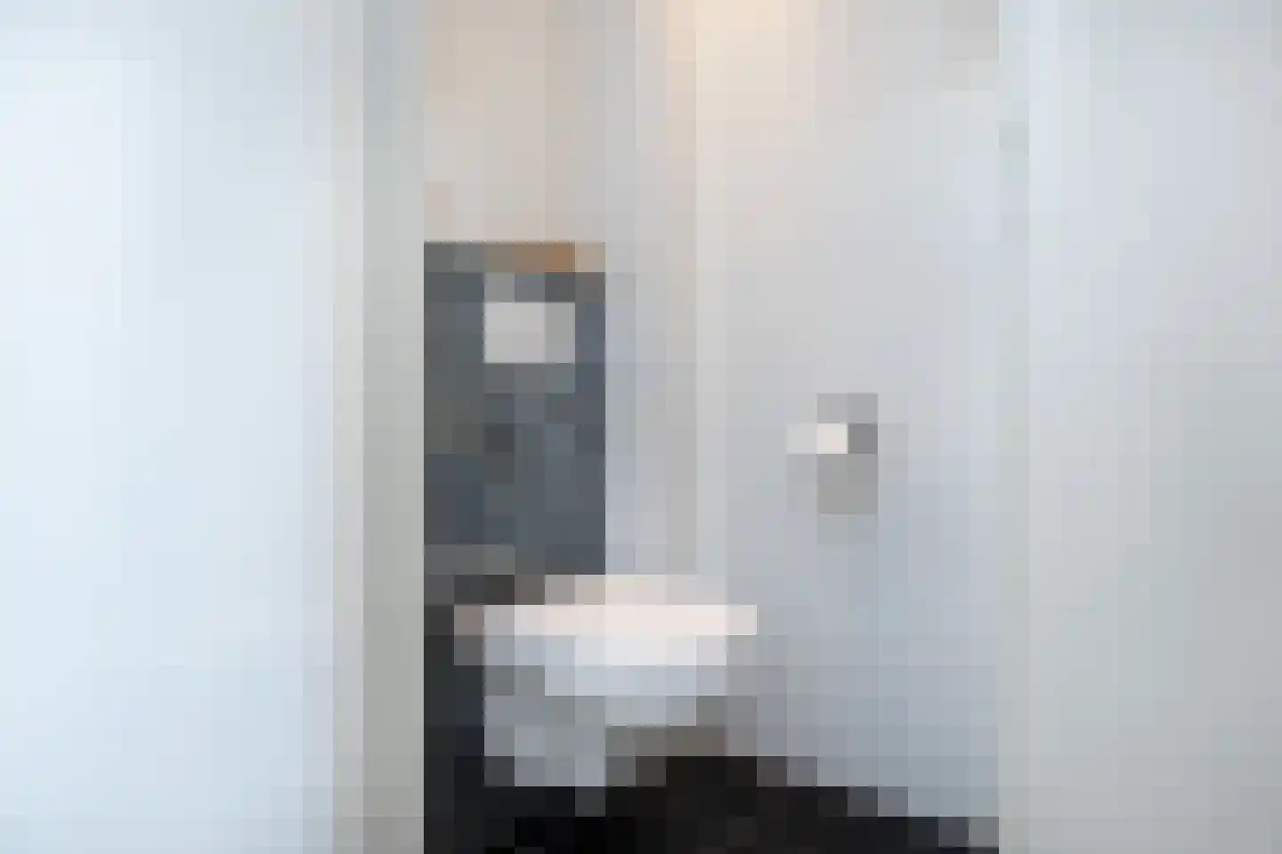 Koolmees 47 Sommelsdijk thumbnail 8