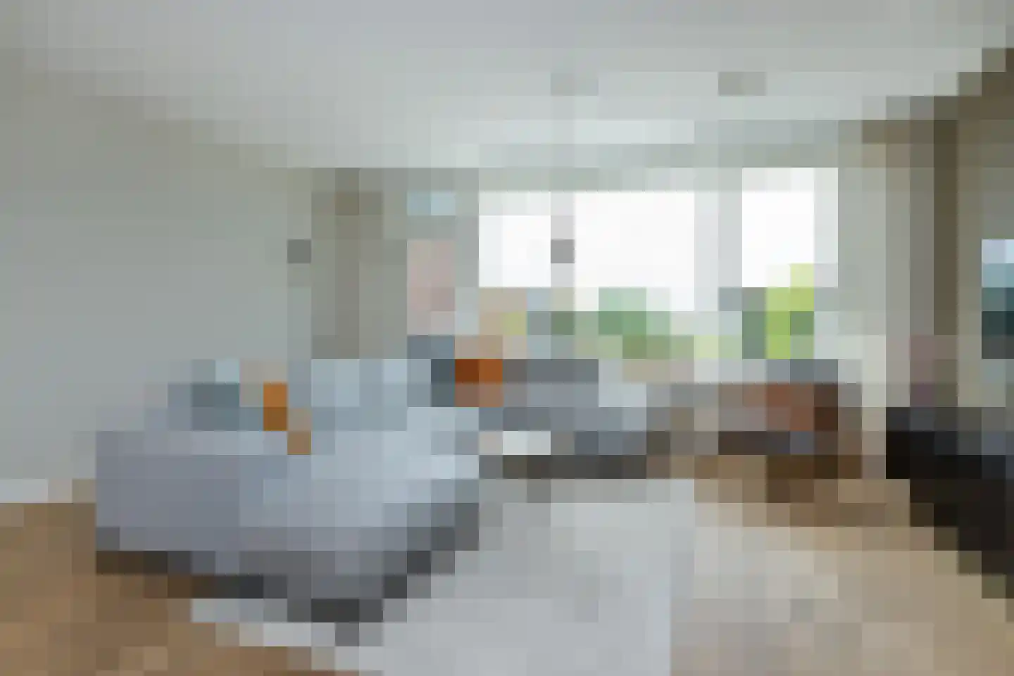 Koolmees 47 Sommelsdijk thumbnail 9