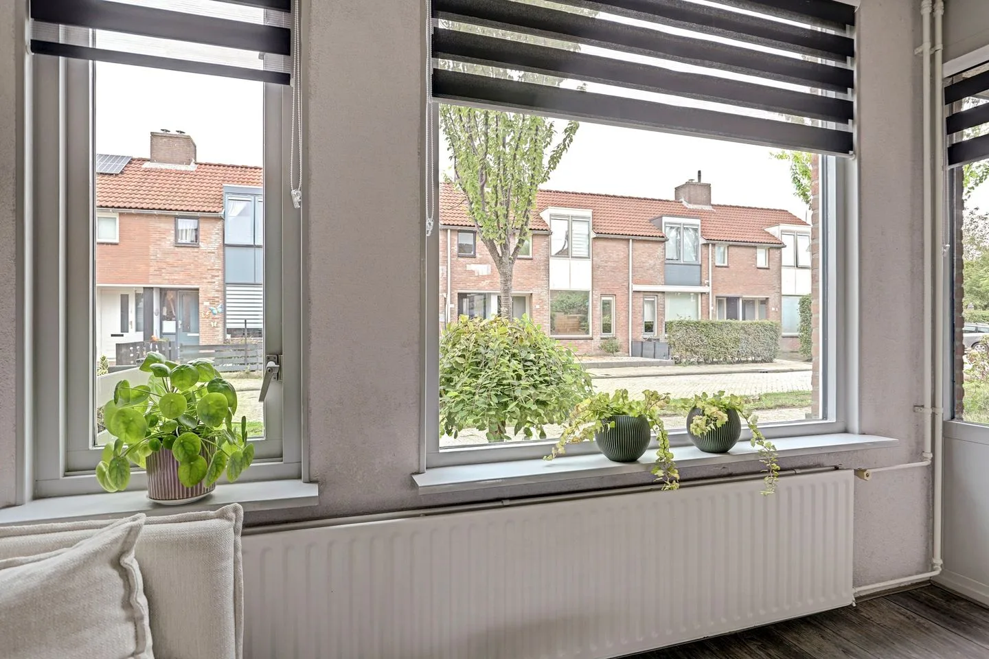 Koolmees 49 Hoorn thumbnail 16