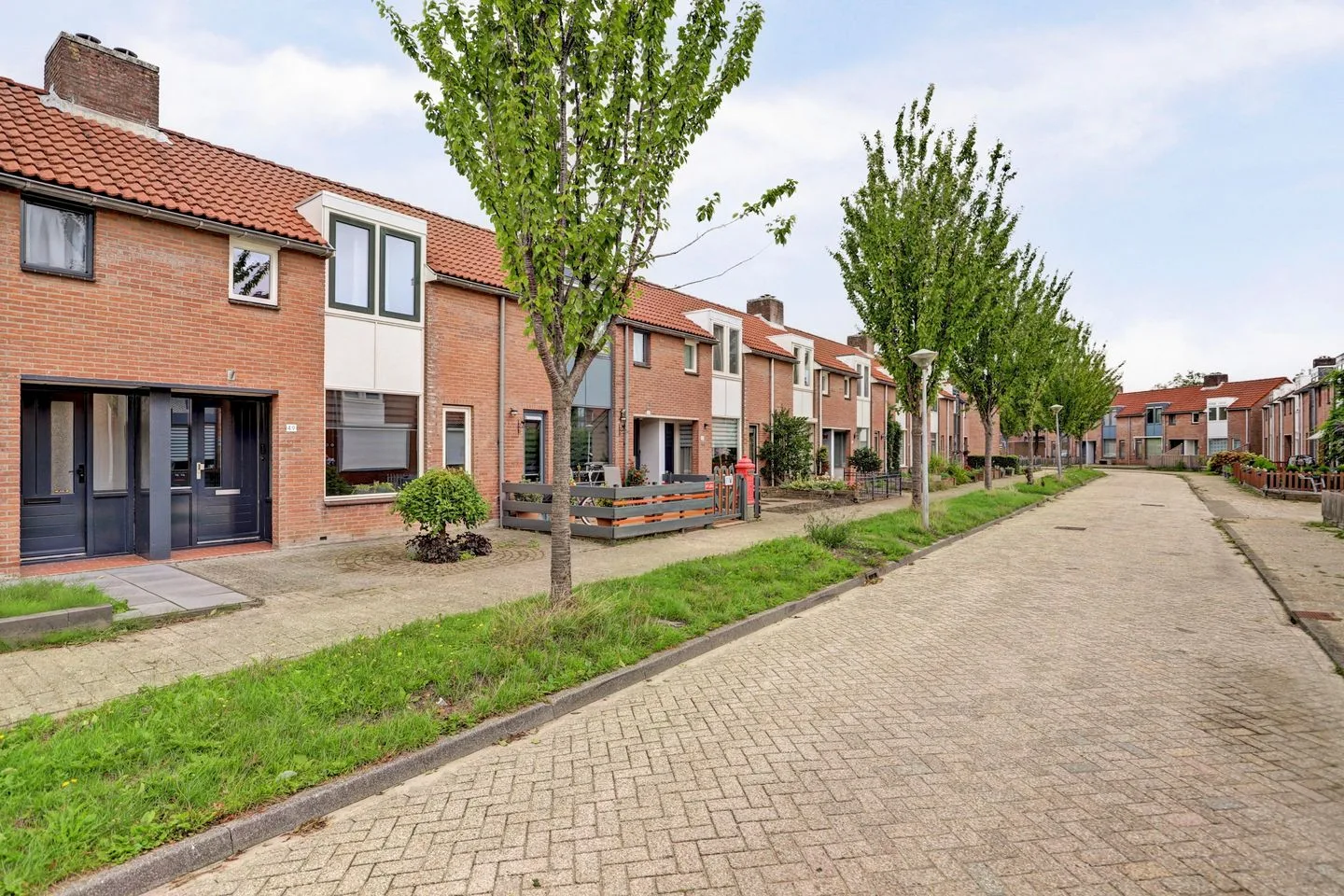 Koolmees 49 Hoorn thumbnail 39
