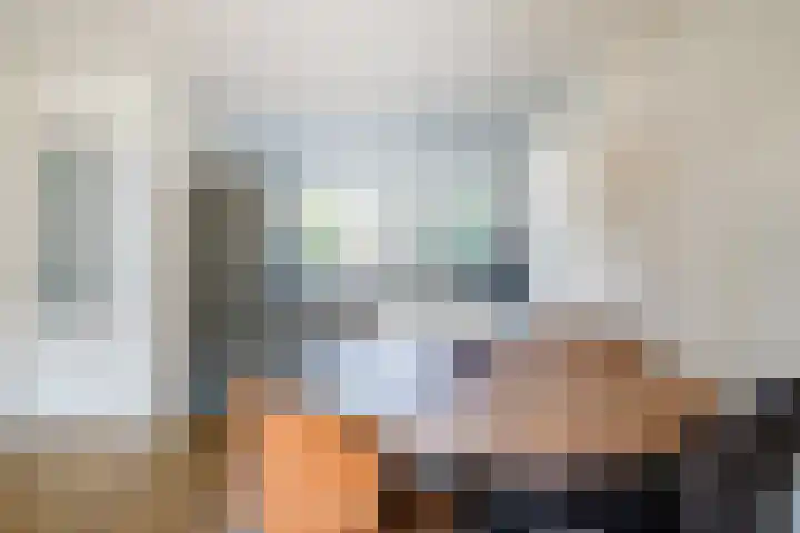 Koolmees 56 Hoorn thumbnail 11