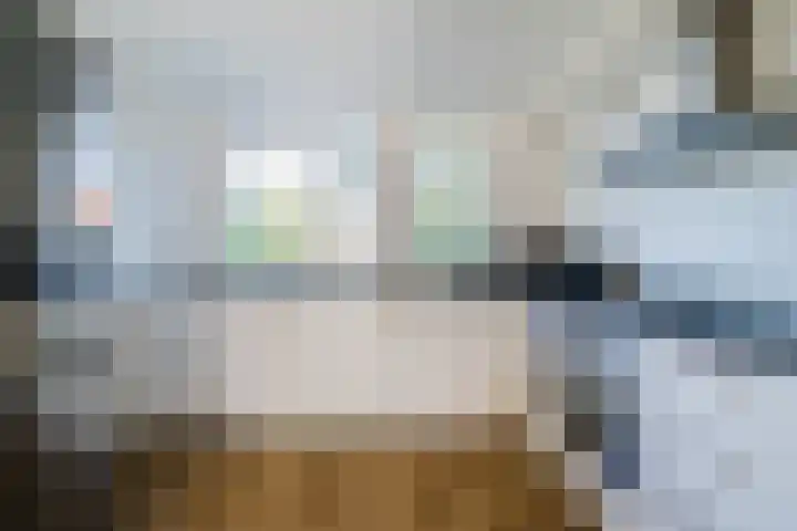 Koolmees 56 Hoorn thumbnail 12