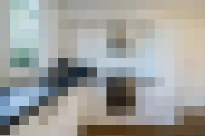 Koolmees 56 Hoorn thumbnail 13