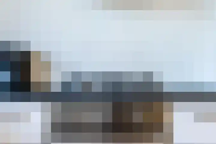 Koolmees 56 Hoorn thumbnail 14
