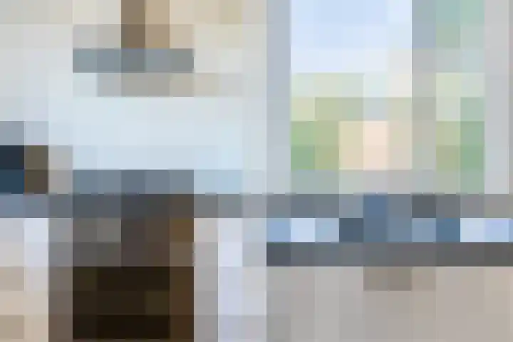 Koolmees 56 Hoorn thumbnail 16