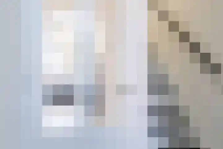Koolmees 56 Hoorn thumbnail 17