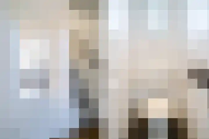 Koolmees 56 Hoorn thumbnail 19