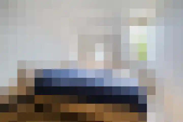 Koolmees 56 Hoorn thumbnail 20