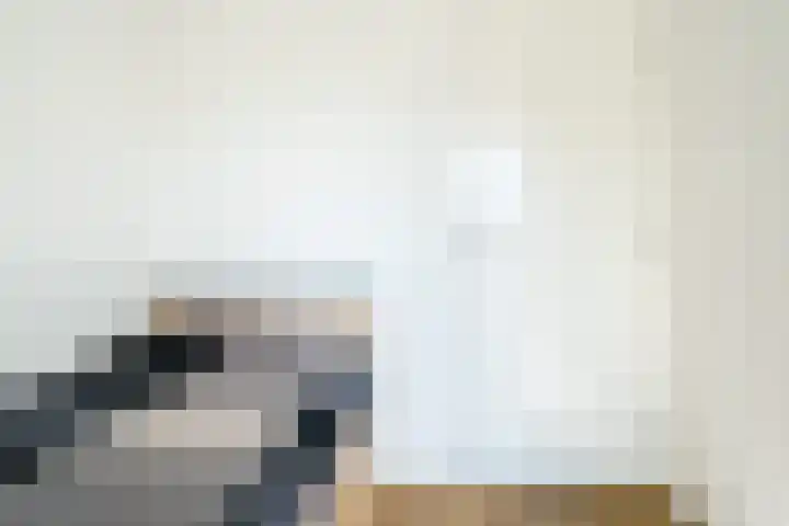 Koolmees 56 Hoorn thumbnail 23