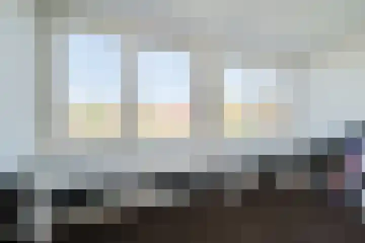 Koolmees 56 Hoorn thumbnail 24