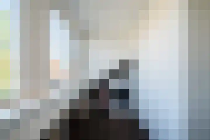 Koolmees 56 Hoorn thumbnail 25
