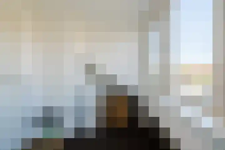 Koolmees 56 Hoorn thumbnail 26