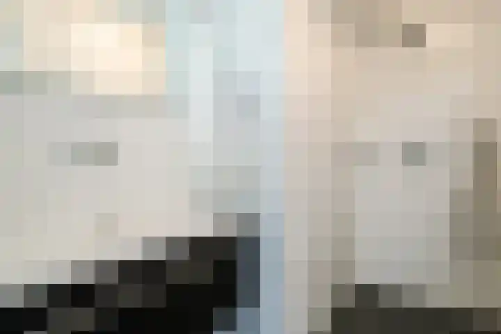 Koolmees 56 Hoorn thumbnail 27