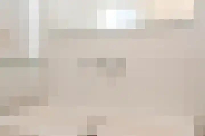 Koolmees 56 Hoorn thumbnail 29