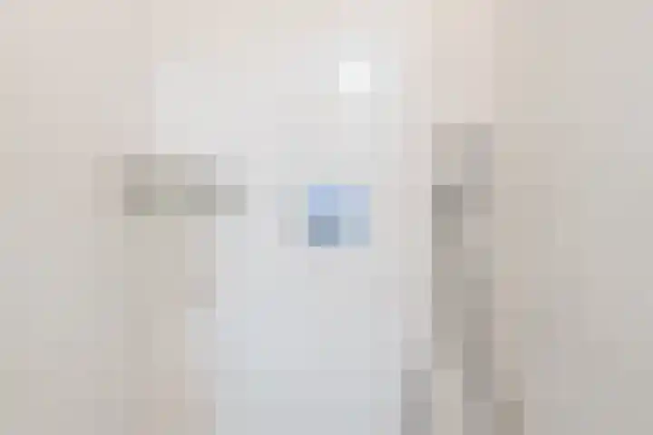 Koolmees 56 Hoorn thumbnail 30