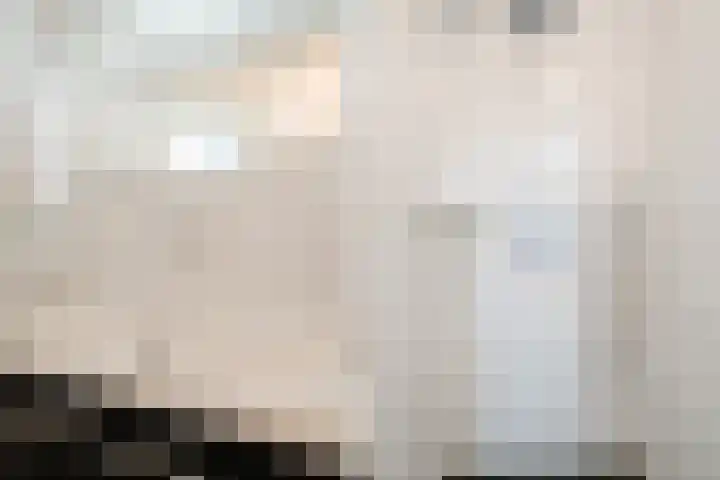 Koolmees 56 Hoorn thumbnail 31