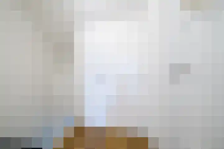 Koolmees 56 Hoorn thumbnail 32