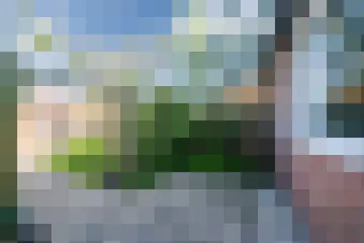 Koolmees 56 Hoorn thumbnail 33