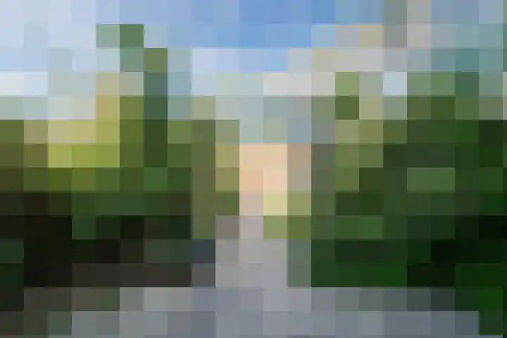 Koolmees 56 Hoorn thumbnail 34