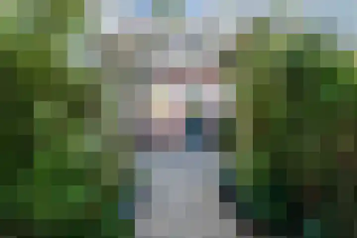 Koolmees 56 Hoorn thumbnail 35