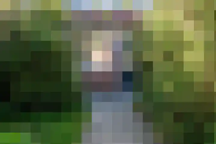 Koolmees 56 Hoorn thumbnail 36