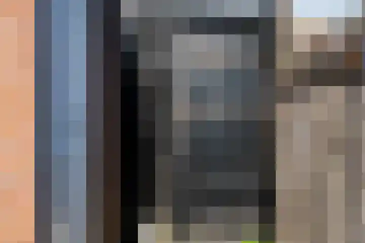 Koolmees 56 Hoorn thumbnail 37