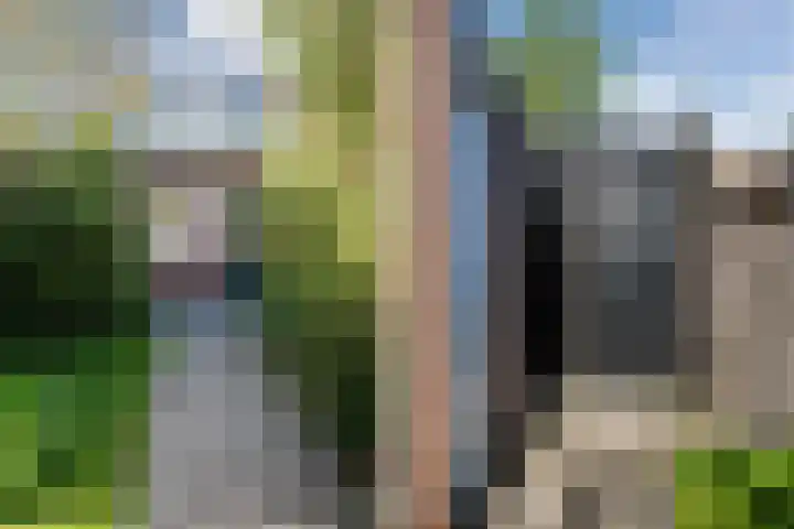Koolmees 56 Hoorn thumbnail 38
