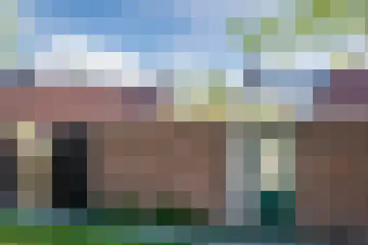 Koolmees 56 Hoorn thumbnail 39