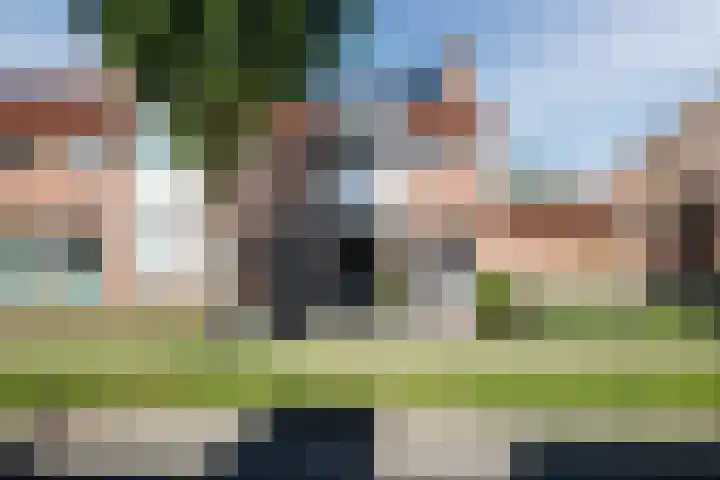 Koolmees 56 Hoorn thumbnail 4