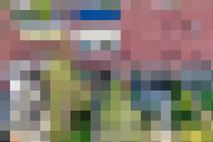 Koolmees 56 Hoorn thumbnail 41