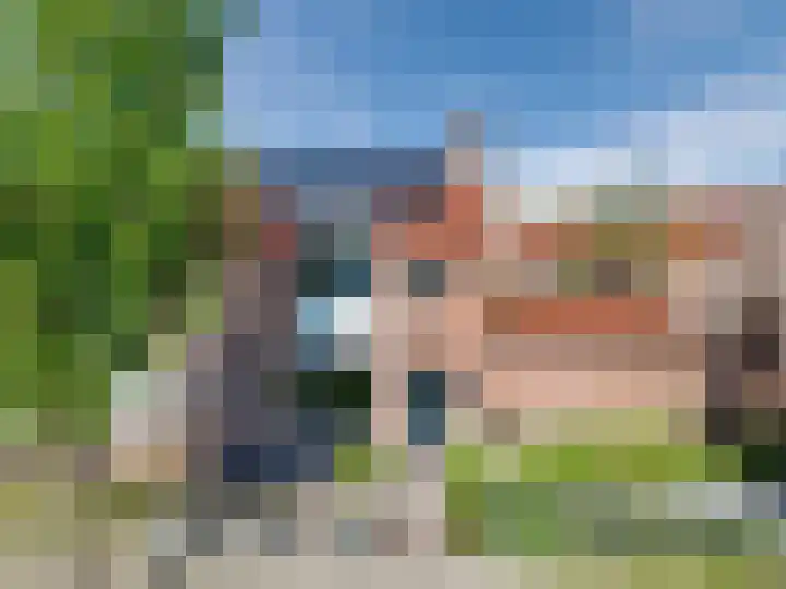 Koolmees 56 Hoorn thumbnail 45