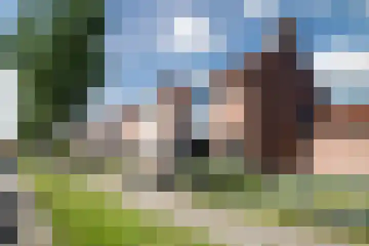 Koolmees 56 Hoorn thumbnail 5