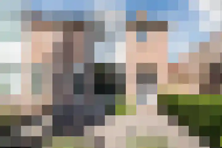 Koolmees 56 Hoorn thumbnail 7