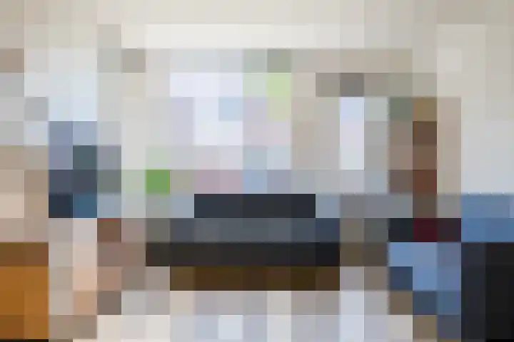 Koolmees 56 Hoorn thumbnail 8