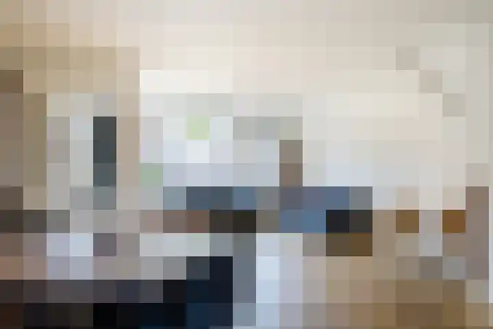 Koolmees 56 Hoorn thumbnail 9