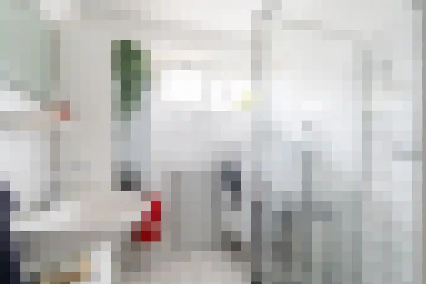 Koolmees 57 Sprang-Capelle thumbnail 15