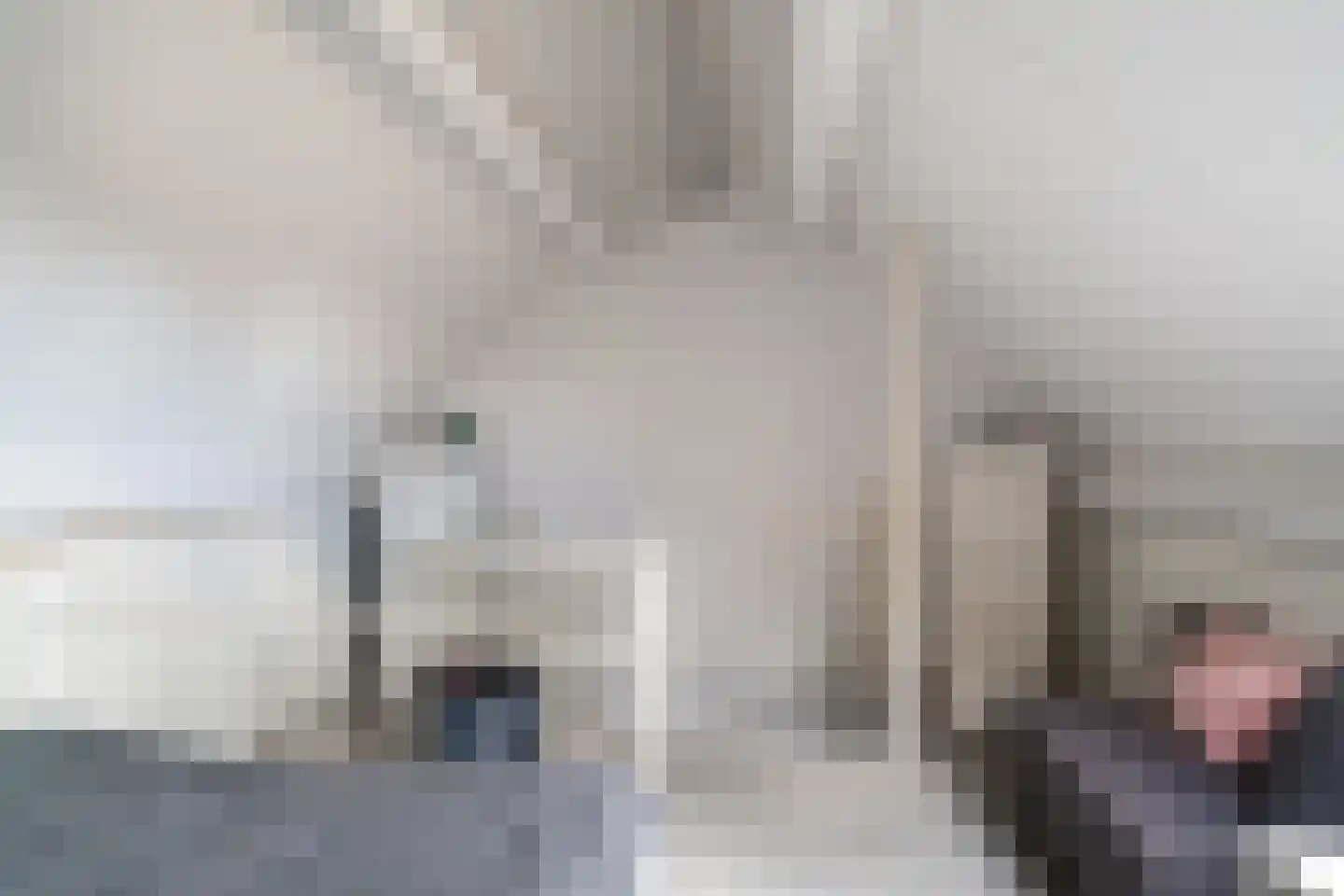 Koolmees 57 Sprang-Capelle thumbnail 16