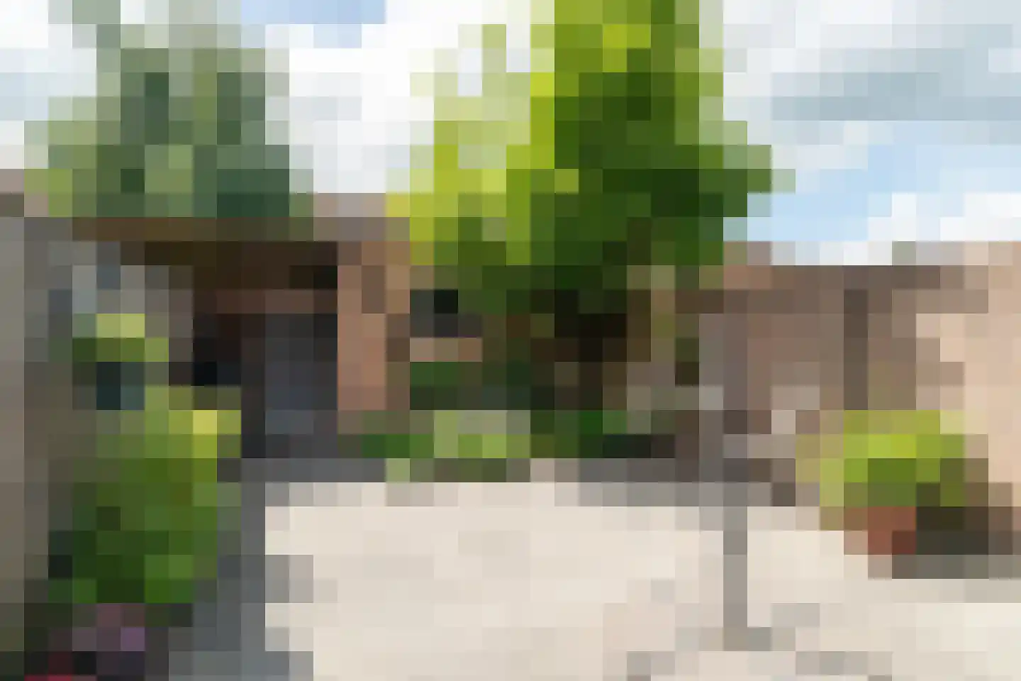 Koolmees 57 Sprang-Capelle thumbnail 19