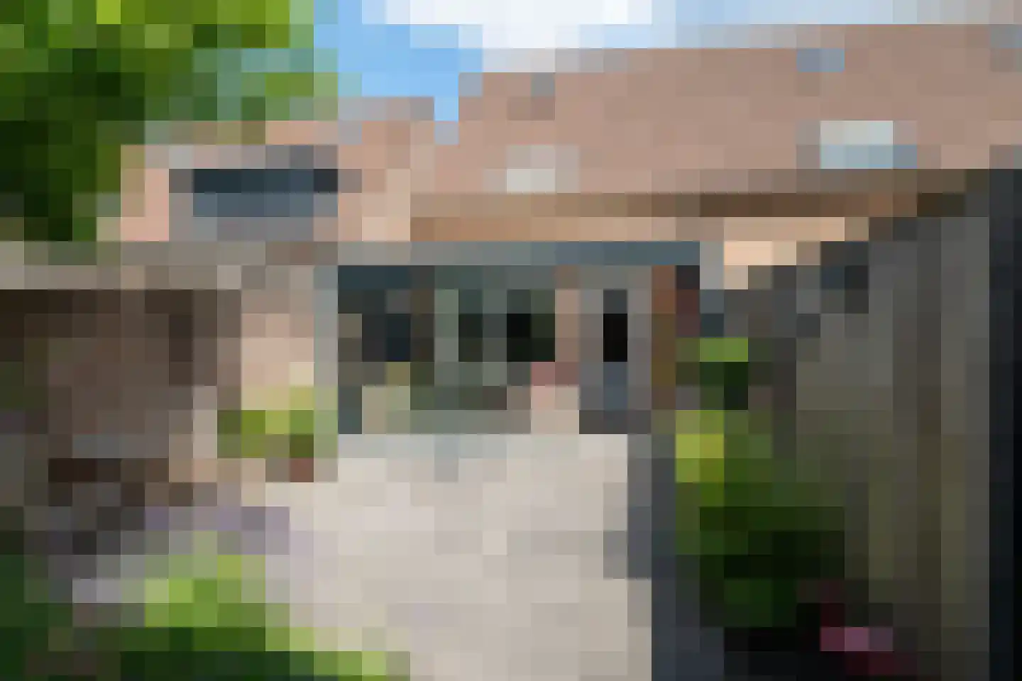 Koolmees 57 Sprang-Capelle thumbnail 20