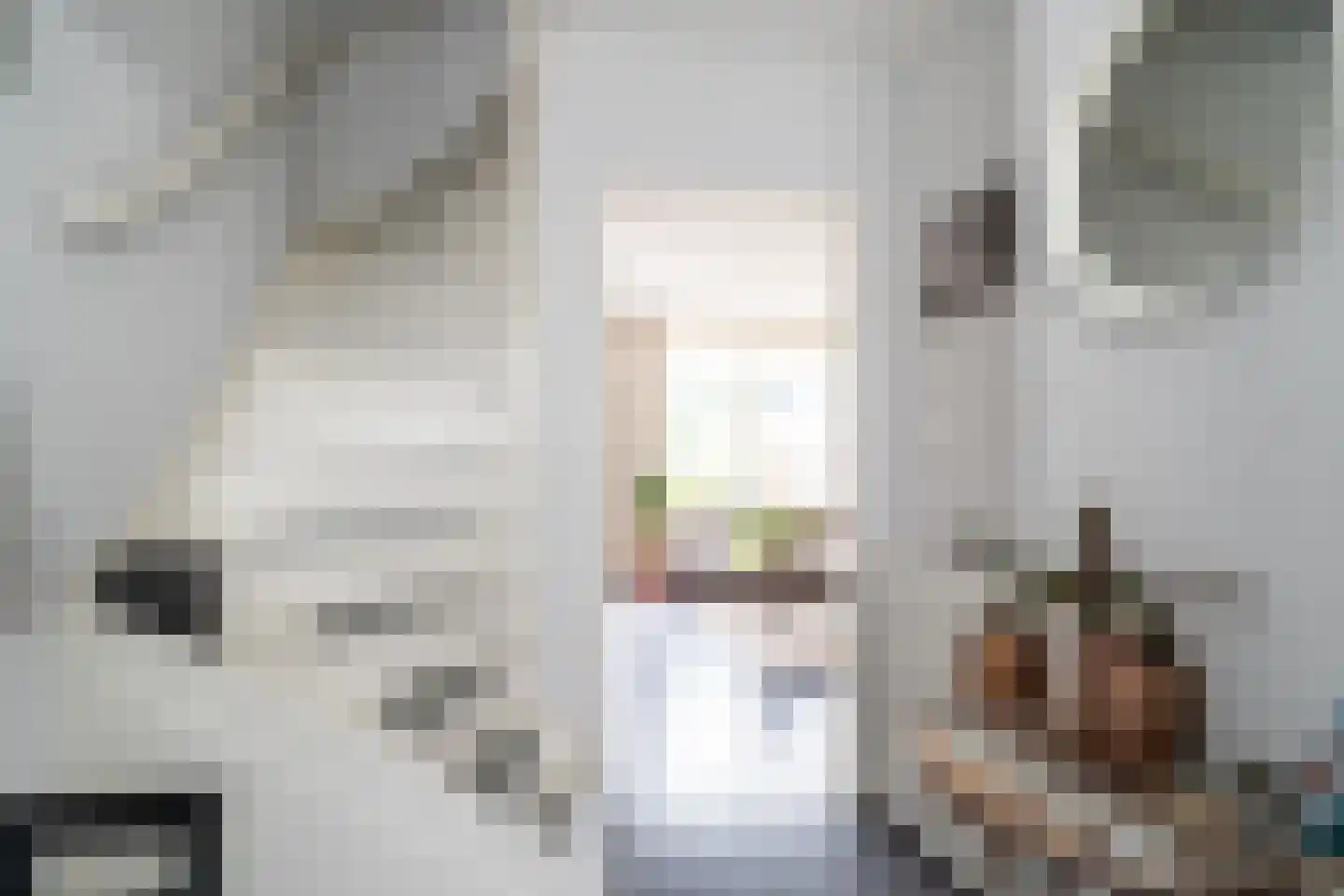Koolmees 57 Sprang-Capelle thumbnail 6