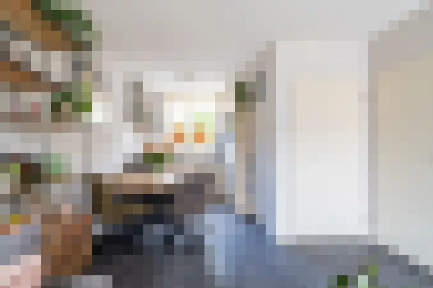 Koolmees 57 Sprang-Capelle thumbnail 7