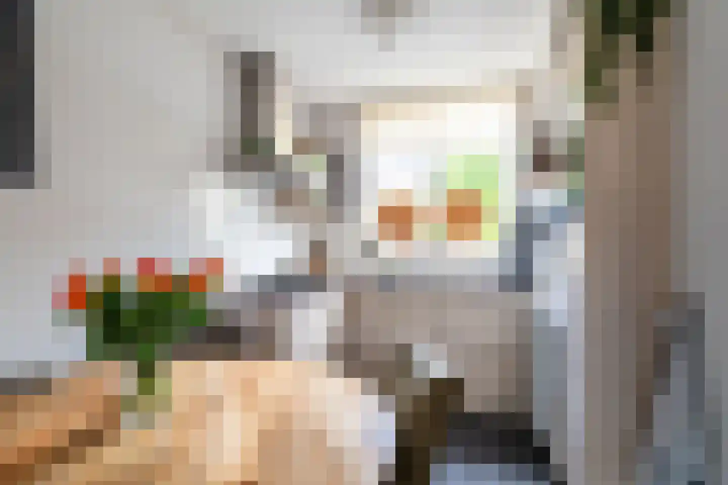 Koolmees 57 Sprang-Capelle thumbnail 8