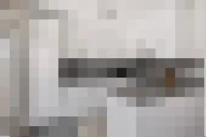 Koolmees 58 Ridderkerk thumbnail 10