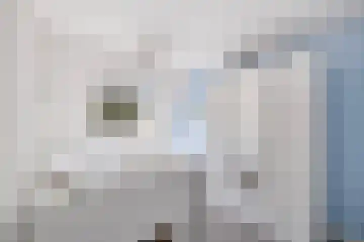 Koolmees 58 Ridderkerk thumbnail 16
