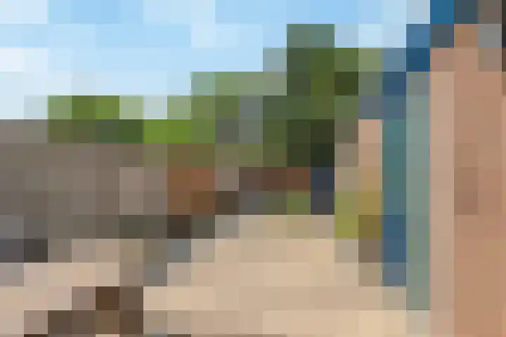 Koolmees 58 Ridderkerk thumbnail 28